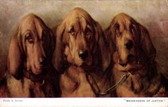 Vintage Postcard Dog Dogs Pup Messengers of justice