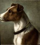 CPA Chien Chiens Chiot 