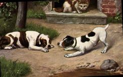 CPA Chien Chiens Chiot Chat