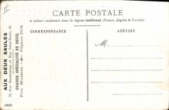 Vintage Postcard Dog Dogs Pup Cats Cat