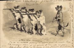 CPA Chien Chiens Chiot Fusil Chasse