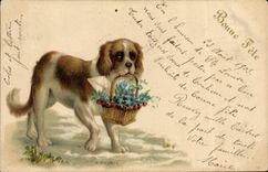 CPA Chien Chiens Chiot 