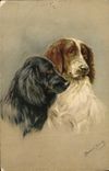 CPA Chien Chiens Chiot 