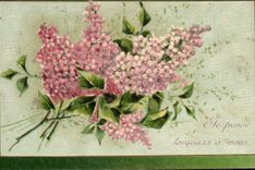 CPA Fantaisie Fleurs 