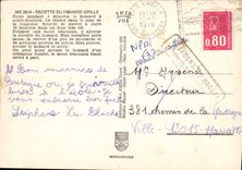 Modern Postcard Recette of Lobster roasts