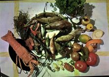 Modern Postcard Bouillabaisse