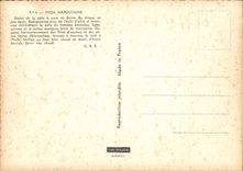 Modern Postcard the Neapolitan pizza pie