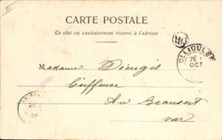 Vintage Postcard Fantasy Woman the language of the Flowers Orchis Love by ambition