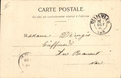 Vintage Postcard Fantasy Woman the language of the Flowers Hydrangea Coldness Whim Love of the change