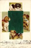 CPA Chien Chiens Chiot 
