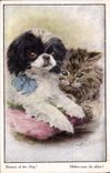 CPA Chien Chiens Chiot Chat Chaton Mefiez vous du chien !