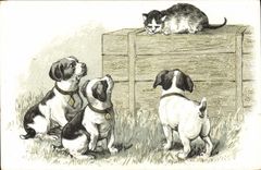 CPA Chien Chiens Chiot Chat Chaton