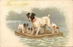 CPA Chien Chiens Chiot 