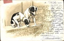CPA Chien Chiens Chiot 