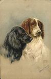 CPA Chien Chiens Chiot 