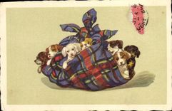 CPA Chien Chiens Chiot 