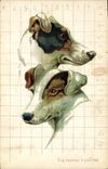 CPA Chien Chiens Chiot 