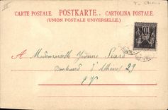 Vintage Postcard Dog Dogs Pup The seven brothers