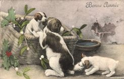 CPA Chien Chiens Chiot 