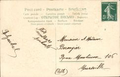 CPA Fantaisie Fleurs Bonne annee 