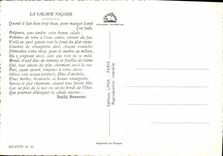 Modern Postcard the salad nicoise