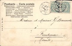 Vintage Postcard Dog Pup Dogs Children Babies