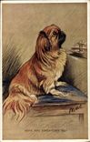 CPA Chien Chiot Chiens Have you forgotten me ? 
