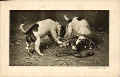 Vintage Postcard Chien Pup Dogs the muzzle has Papa