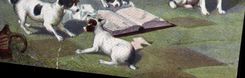 CPA Chien Chiot Chiens 