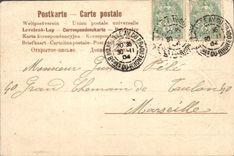 Vintage Postcard Fantasy Flowers Swallows Boat