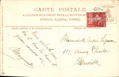 CPA Fantaisie Fleurs Bonne annee 