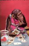 CPM Singe jouant aux cartes