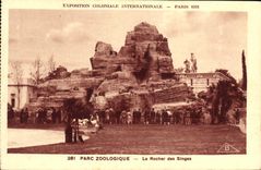 CPA Singe Paris Exposition coloniale internationale 1931 Parc zoologique Le rocher des singes Zoo