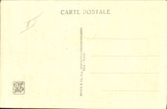 CPA Singe Paris Exposition coloniale internationale 1931 Parc zoologique Le rocher des singes Zoo