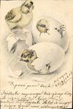 Vintage Postcard Chicks Eggs