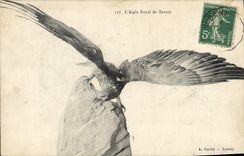 CPA L'aigle Royal de Savoie Rapace 