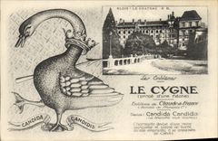 CPA Le cygne Blois le chateau 