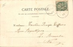 Vintage Postcard Fantasy Woman Language of the flowers the Lily Innoncence Majesty