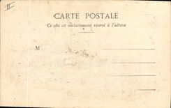 Vintage Postcard Fantasy Woman Language of the flowers Hawthorn