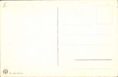 Vintage Postcard Fantasy Flowers Cactus