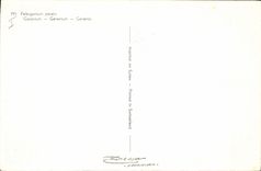 Vintage Postcard Fantasy Flowers Geranium