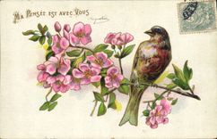 CPA Oiseau Fleurs 