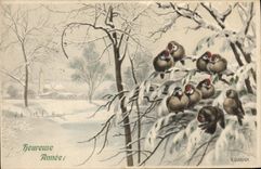 CPA Oiseaux 