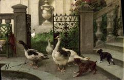 CPA Oies Chien 