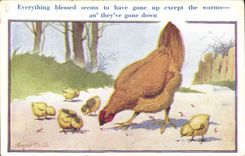 CPA Poule Poussins 