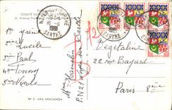 CPA Perroquet 