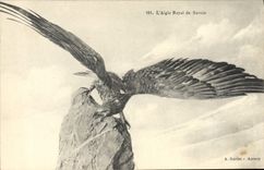 CPA L'aigle Royal de Savoie Rapace 