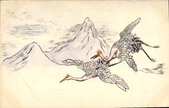 CPA Oiseaux 