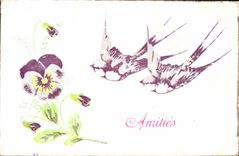 CPA Oiseaux 