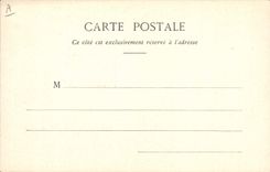 Vintage Postcard grape harvest